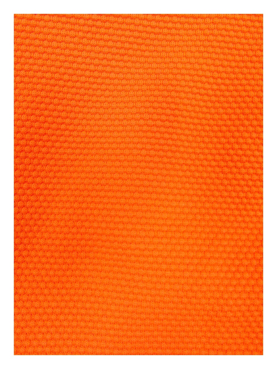 Alexandra Miro Women's Ursula High Waist Bikini Bottom (, Orange)