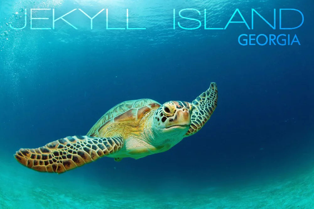 Jekyll Island, Georgia, Sea Turtle (19x27 inches, Premium 500 Piece Jigsaw Puzzle for Adults and Family, Made in )