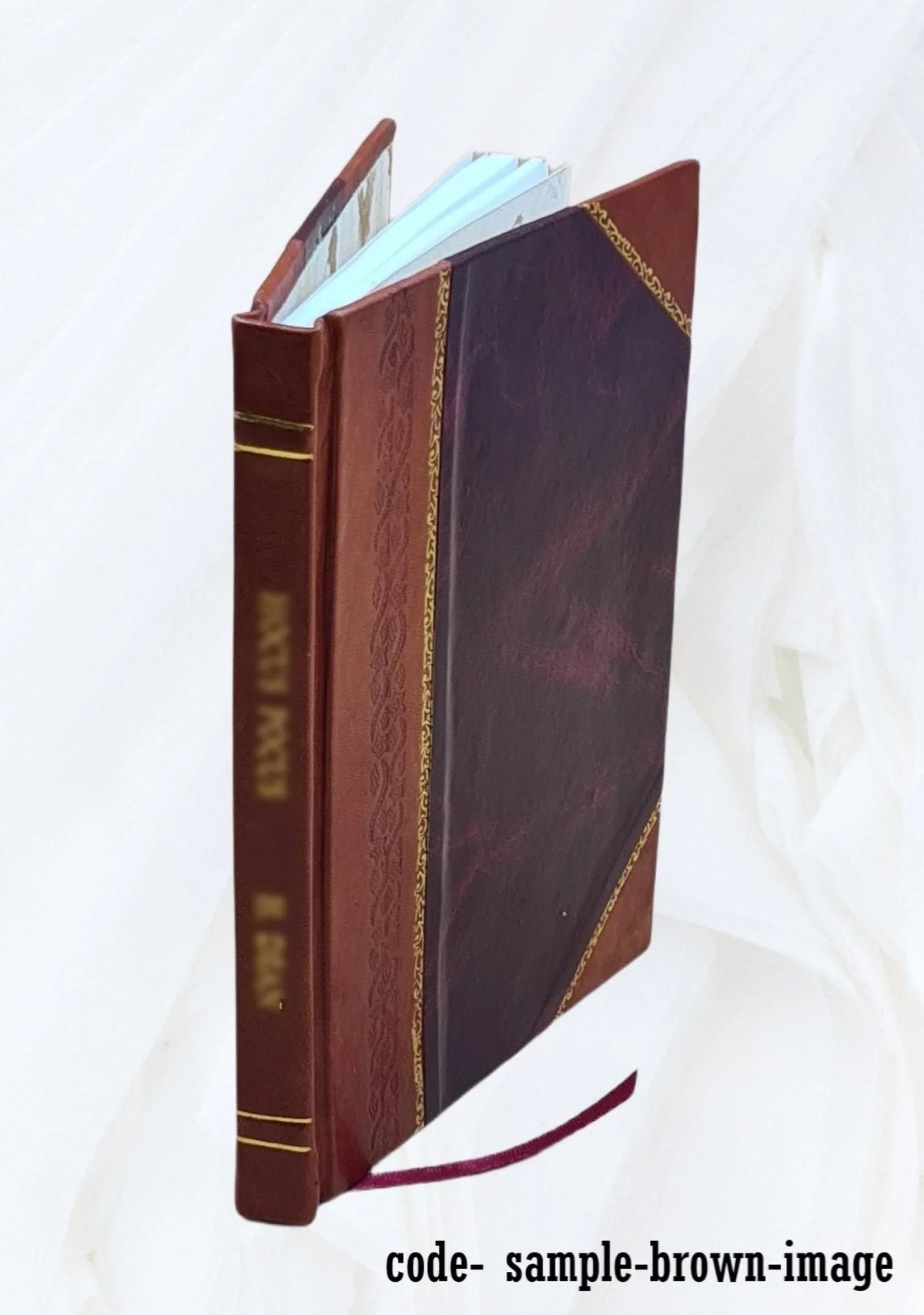 The handbook of Medway history : a condensed history of the town of Medway, Massachusetts / by Orion . Mason. 1913 [Leather Bound]