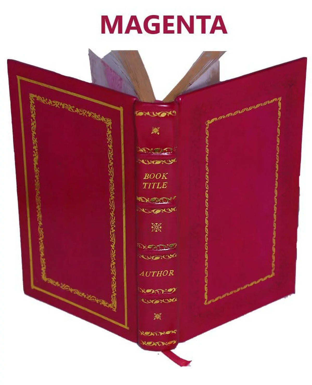 'historia di casa Orsina / di Francesco Sansovino ; nella quale oltre all'origine sua si contengono molte nobili imprese fatte da loro in diuerse prouincie [Premium Leather Bound]