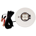 Hydro Glow  Floating Fish  Light with 20 ft. Cord, White - 12W - 12V