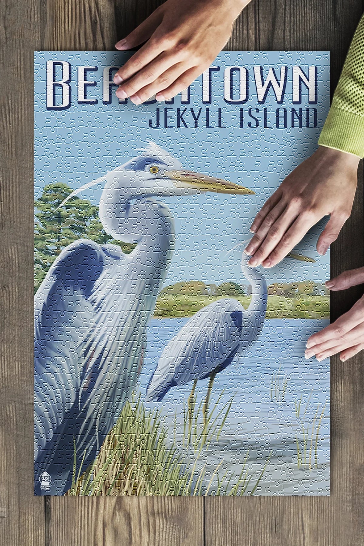 Beachtown, Jekyll Island, Georgia, Blue Herons (19x27 inches, Premium 500 Piece Jigsaw Puzzle for Adults and Family, Made in )