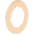 Plate Cover 3-1/2 In Brs Pltd  9524