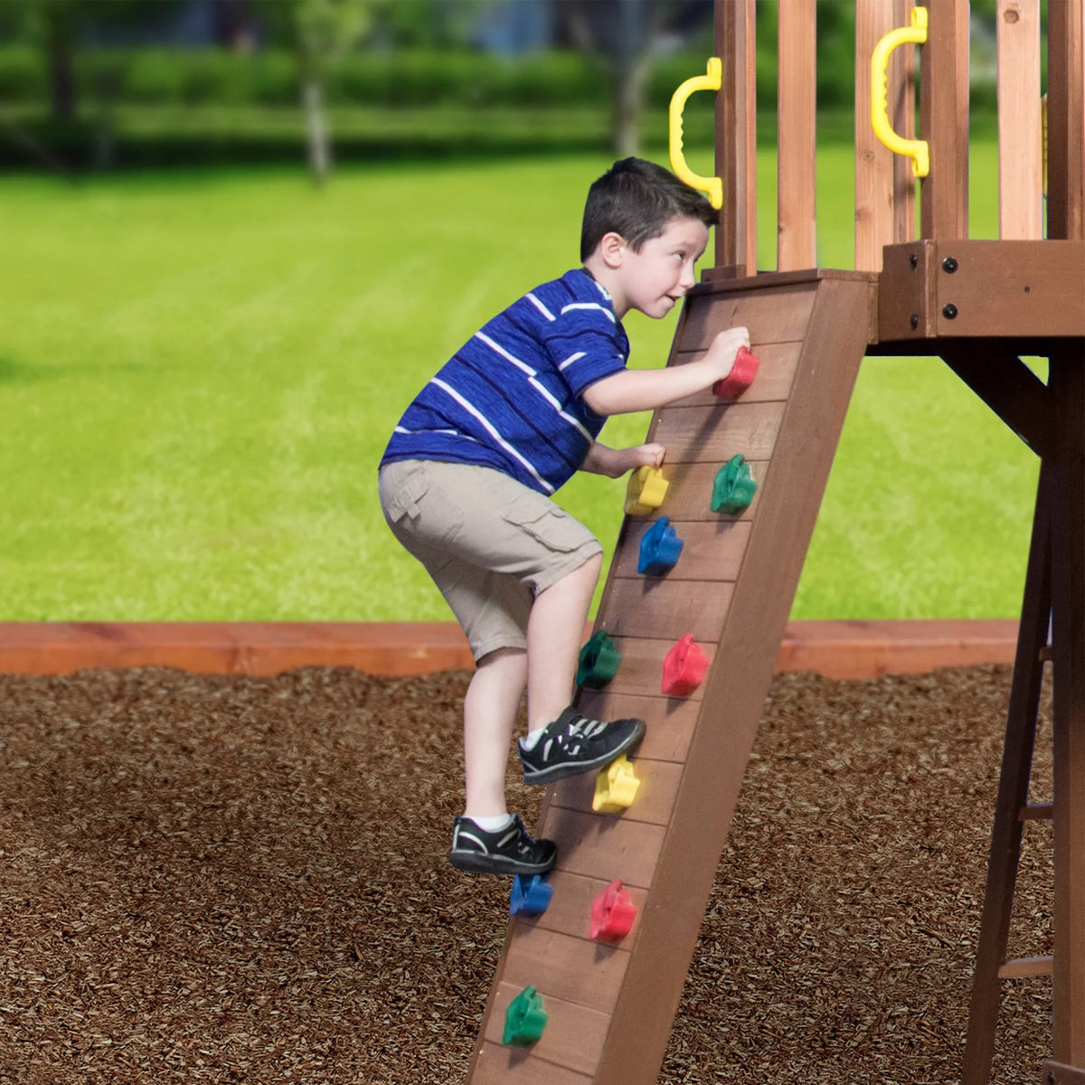 Backyard Disenclosurey Mount Triumph Swing Set