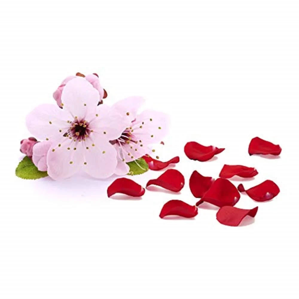 2chic Ultra Luxurious Super Potion Silkening Hair Serum, 4 oz. Cherry Blossom & Rose Petals, Aloe Vera, Pro-Vitamin , Smooths Curly & Wavy Hair, Paraben Free, Color Safe (Pack of 3)