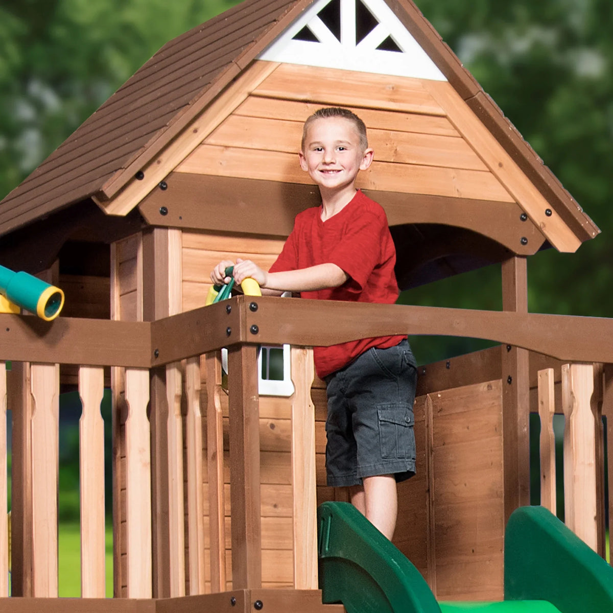 Backyard Disenclosurey Mount Triumph Swing Set