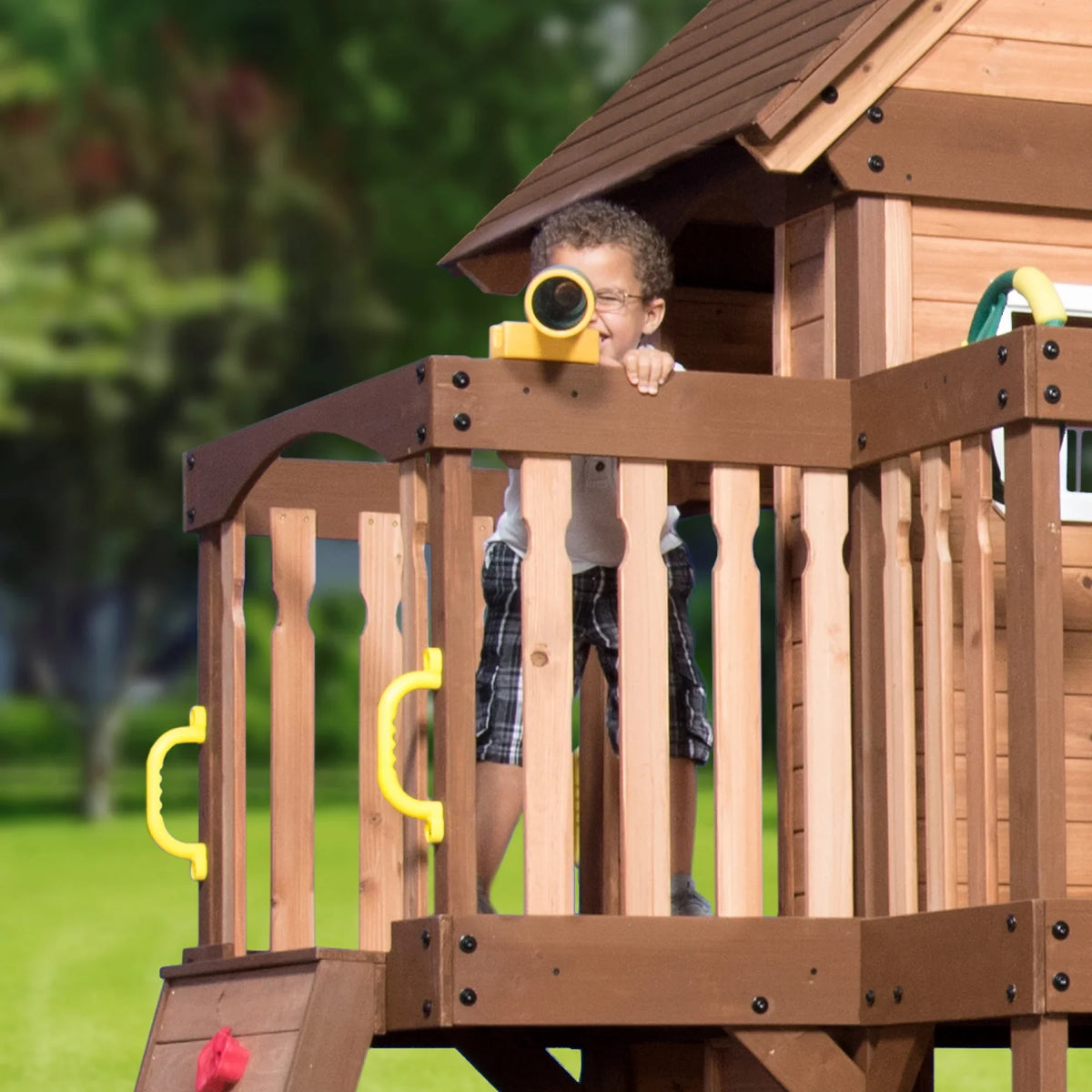 Backyard Disenclosurey Mount Triumph Swing Set