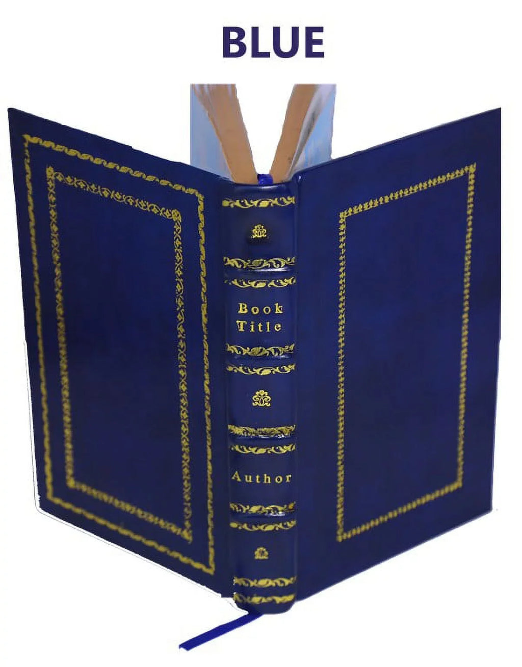 'historia di casa Orsina / di Francesco Sansovino ; nella quale oltre all'origine sua si contengono molte nobili imprese fatte da loro in diuerse prouincie [Premium Leather Bound]