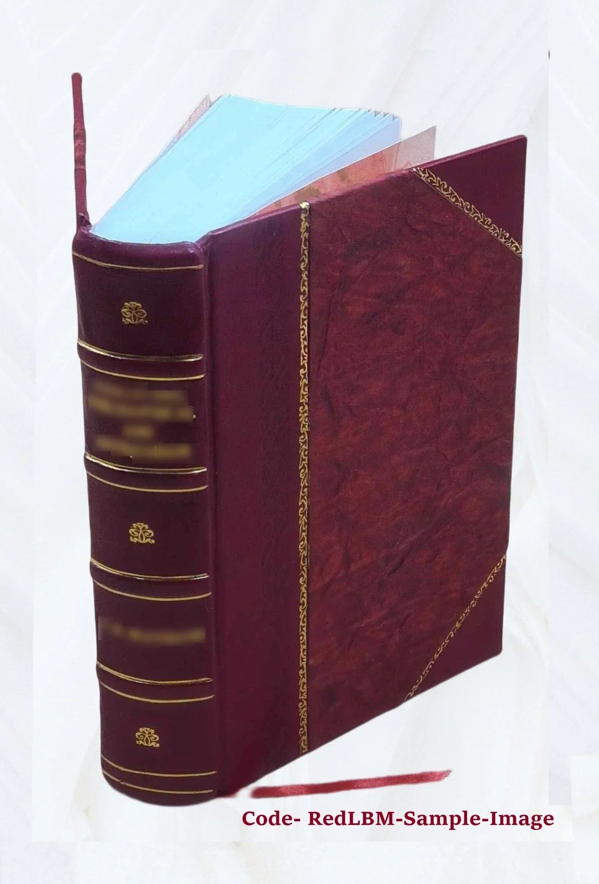 '- German Programmed Introduction - Student Text [Leather Bound]