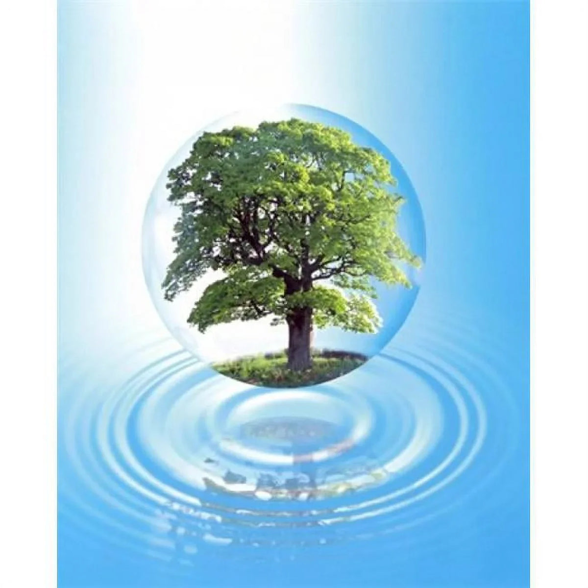 clear sphere with a full tree floats over a large water ring with reflection Poster Print by  - 20 x 24