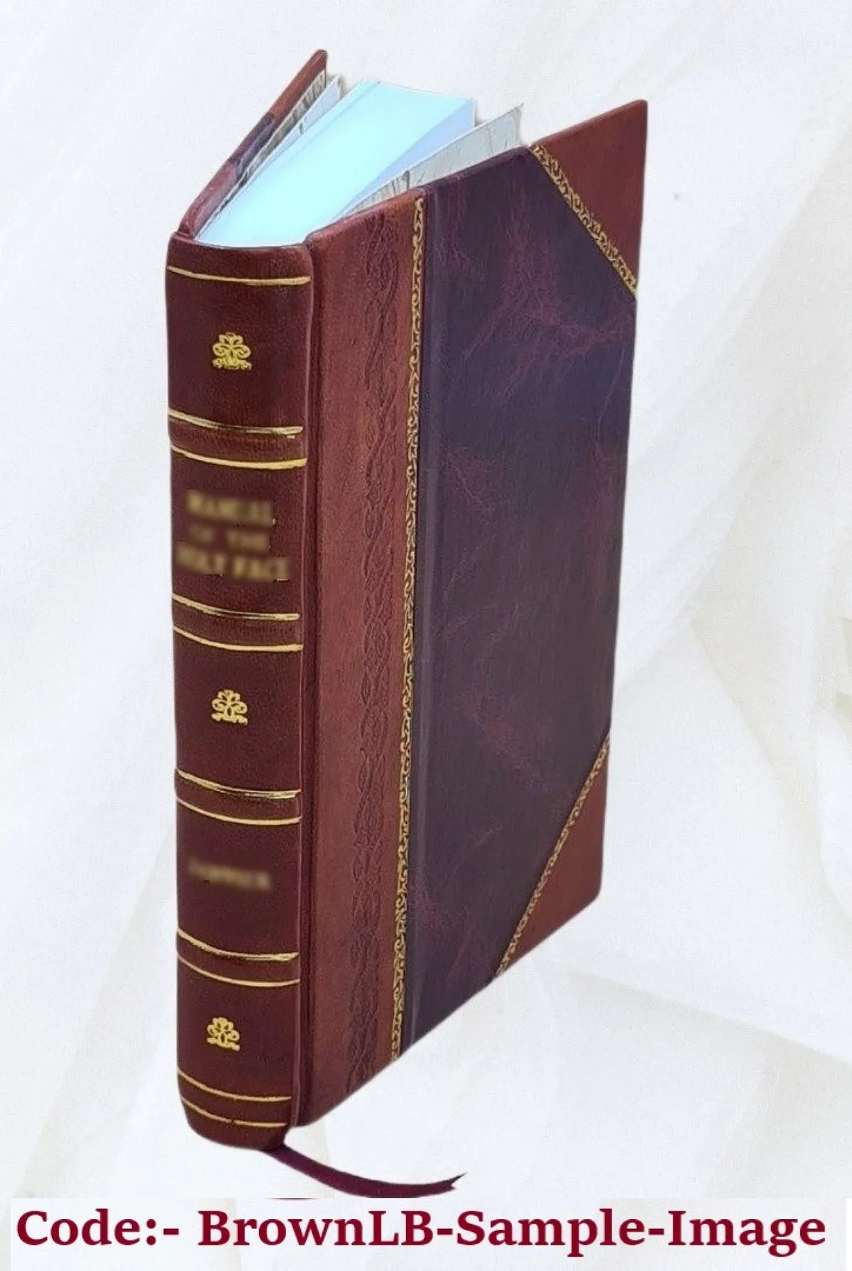 Pretiosa margarita nouella de thesauro, ac pretiosissimo philosophorum lapide [Boni Ferrariensis]. Artis huius diuinae typus, & methodus collectanea ex Arnaldo, Rhaymundo, Rhasi,